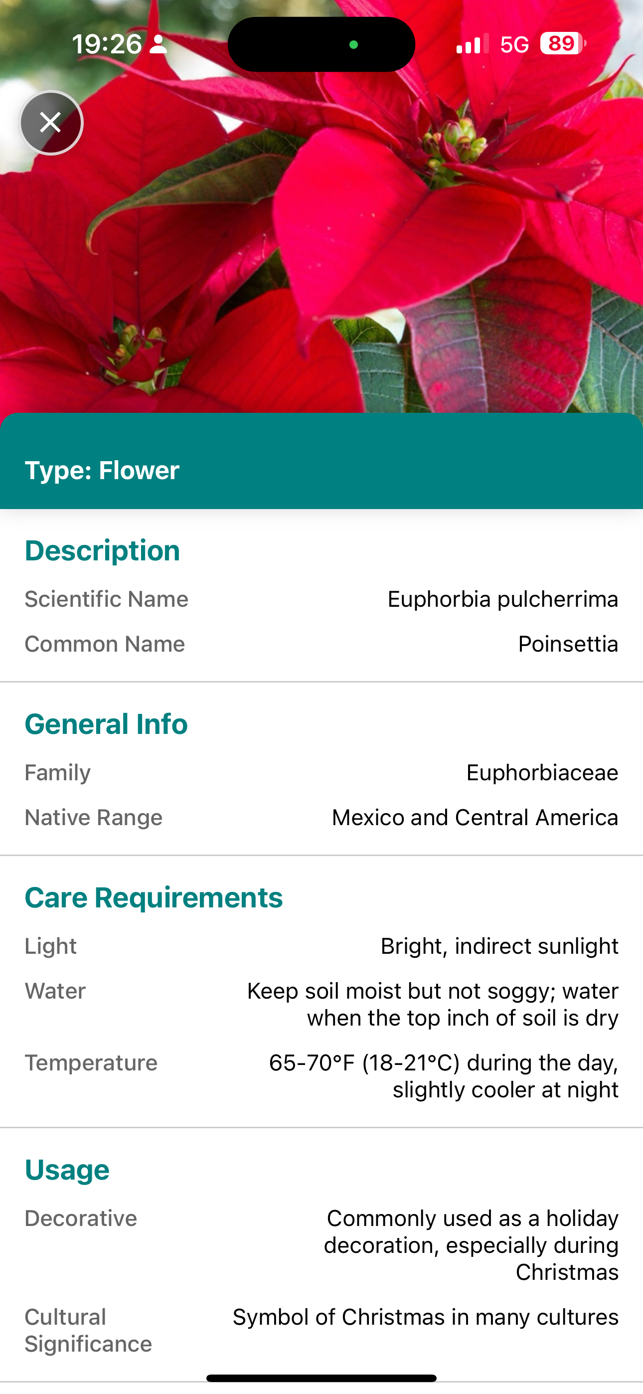 Flora app screenshot - Plant details