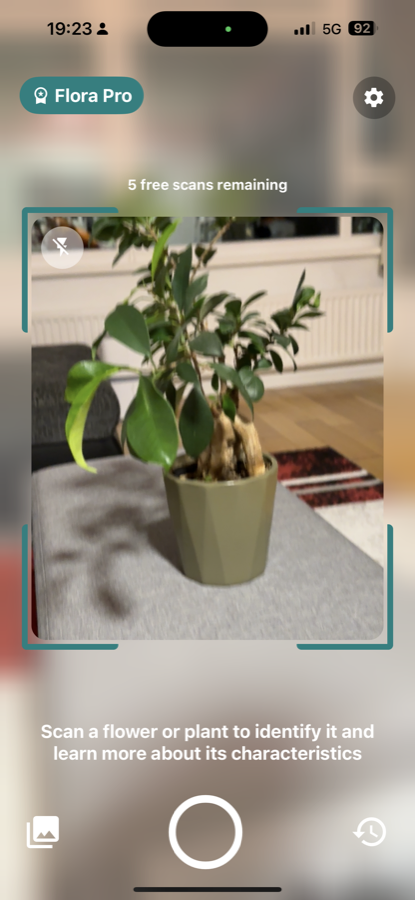 FloraApp identifying a plant